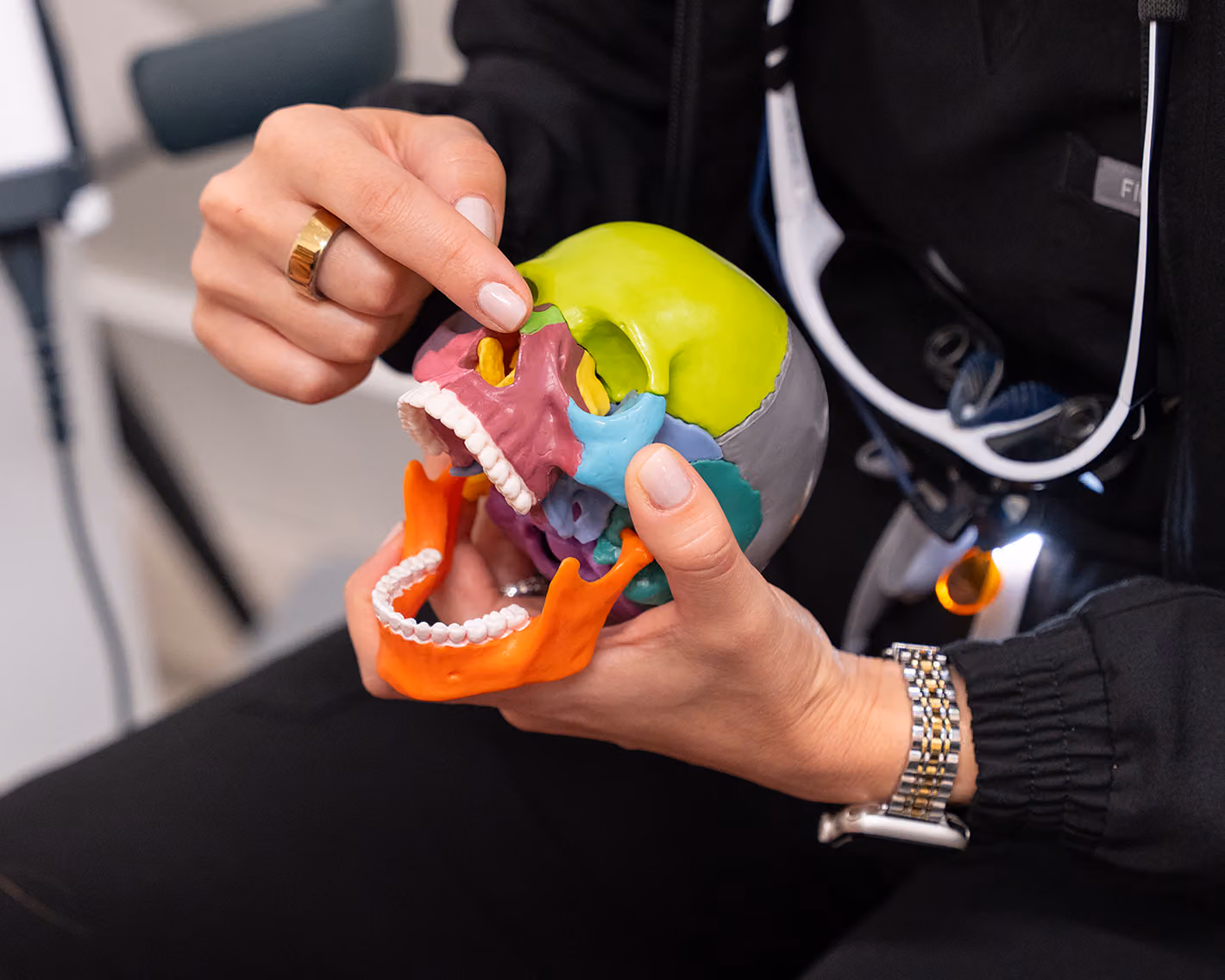 Clinician holding a colorful anatomical skull model while explaining airway and jaw structure.