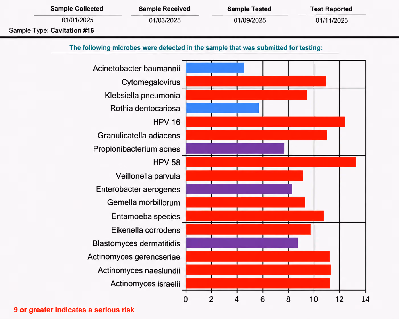 Sample laboratory report showing microorganisms detected in tissue collected near tooth 16.
