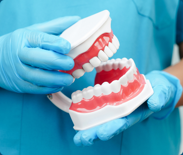 Gloved clinician holding upper and lower dental arch models.