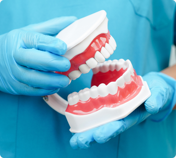 Gloved hands hold a dental model during a fluoride-free sealants consultation.